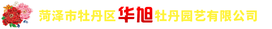 活動現場 - 慶典活動 - 服務項目 - 烏魯木齊盛世創想文化傳媒有限公司